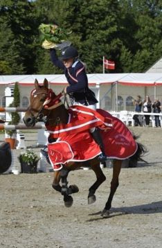 Danmarksmester 2013