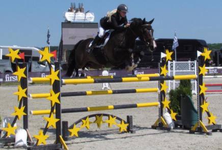 DM udendørs van dejk laurenz josephine absolute horses amerigo bøgh Bøgh josephine junior